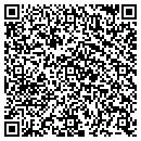 QR code with Public Storage contacts