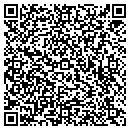 QR code with Costantino and Company contacts