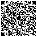QR code with Public Storage contacts
