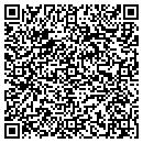 QR code with Premise Networks contacts