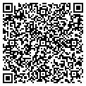 QR code with Avchem contacts