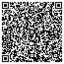 QR code with Prg Systems contacts