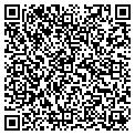 QR code with Njvvmf contacts