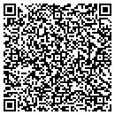 QR code with Chemo Dynamics Inc contacts