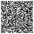 QR code with Fire N Fuels contacts