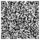 QR code with Boulevard Auto Sales contacts