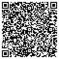 QR code with Lapis contacts