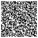 QR code with Public Storage contacts