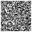 QR code with Public Energy Solutions contacts