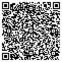 QR code with Hache contacts