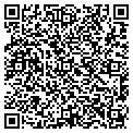 QR code with Z-Line contacts