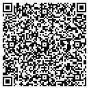 QR code with Punia Co LLC contacts