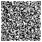 QR code with Blimpie Subs & Salads contacts