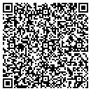 QR code with Brisar Industries Inc contacts