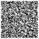 QR code with Premier Bride Marketing contacts