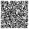QR code with Migami contacts