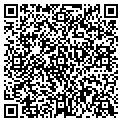 QR code with New 2U contacts