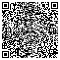 QR code with Citgo contacts