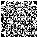 QR code with Pro Chem contacts