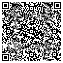 QR code with Public Storage contacts
