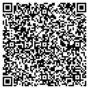 QR code with Precise Construction contacts