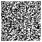 QR code with Placement Professionals contacts