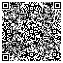 QR code with Pulse EFT Assn contacts