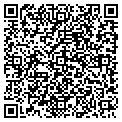QR code with Curves contacts