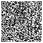 QR code with Blairstown Auto Sales contacts