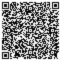 QR code with P Price contacts