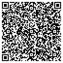 QR code with Pyramid Network Group contacts