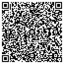 QR code with Cytogen Corp contacts