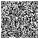 QR code with Cytogen Corp contacts
