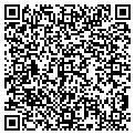 QR code with Xelenet Corp contacts