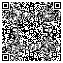 QR code with Carpet Bagger contacts