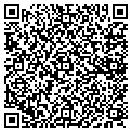 QR code with Dynasty contacts