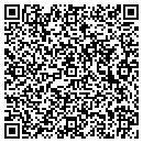 QR code with Prism Strategies LLC contacts