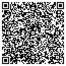 QR code with Pulaski Products contacts