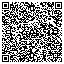 QR code with Chaney Improvements contacts