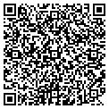 QR code with North Star Mapping contacts