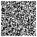 QR code with Princeton Institute contacts