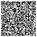 QR code with Putnam Design Assoc contacts