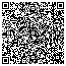 QR code with Precise Title LLC contacts