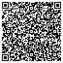 QR code with Collier Real Estate contacts