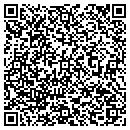 QR code with Blueipoint Companies contacts