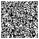 QR code with Professional Abstract contacts