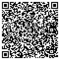 QR code with Lite-N-Up contacts