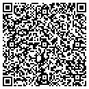 QR code with Colorite Polymers Co contacts