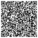 QR code with Professional Touch Inc contacts