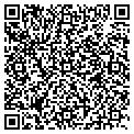 QR code with Lcg Solutions contacts